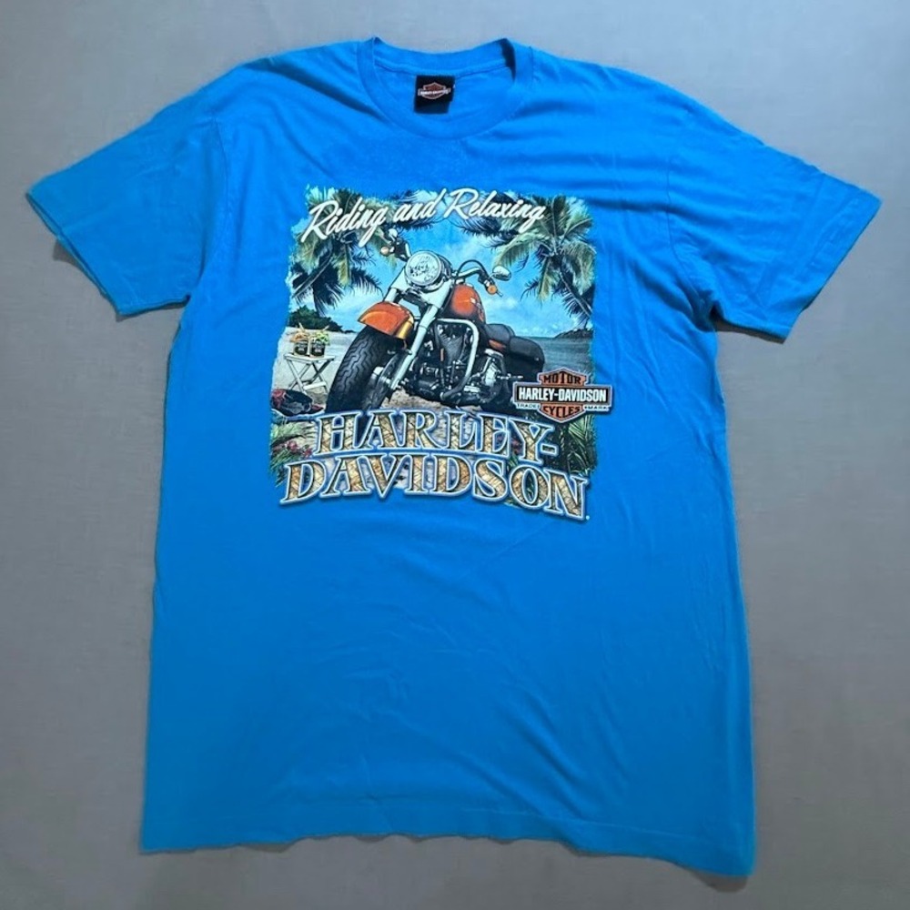 Harley-Davidson Riding and Relaxing Blue‎ Graphic T-Shirt Motorcycle